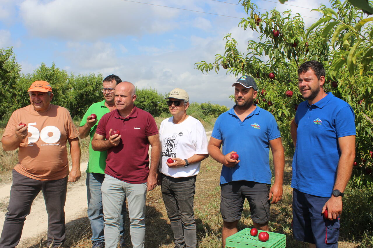 LA UNIÓ denuncia que un augment de més del 20% en els costos de producció llastra la campanya de fruita d’estiu en la Comunitat Valenciana